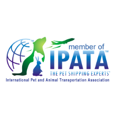 Certificación IPATA transporte internacional de mascotas asociación internacional de transporte animal