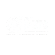 Certificación IPATA transporte internacional de mascotas asociación internacional de transporte animal